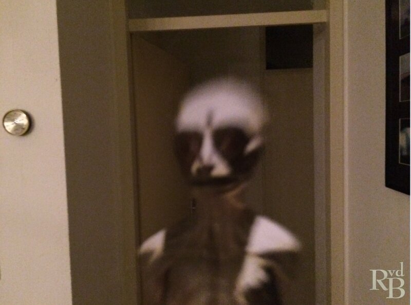 Risultati immagini per robbert van den broeke, alien